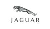 Wieldoppen-Jaguar